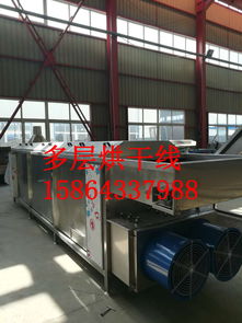 脫水蔬菜多層連續(xù)式烘乾機(jī)