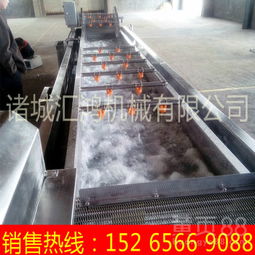 【匯鴻秋葵清洗機(jī)自動(dòng)果蔬清洗機(jī)廠家連續(xù)式洗菜機(jī)價(jià)格】-