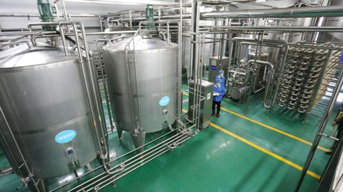 什么是蒸汽烹飪技術(shù) 燃?xì)庹羝l(fā)生器用于食品加工,均勻加熱營(yíng)養(yǎng)不流失